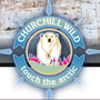 90x90 churchill wild