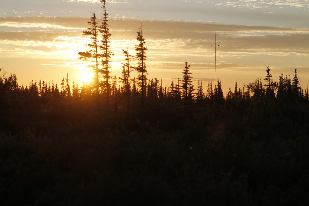 9pm in late Aug-churchill (10)