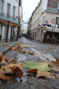 A few blocks-near Square Rene Viviani (14)