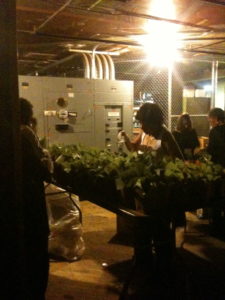 FillingUpVIPBoxes