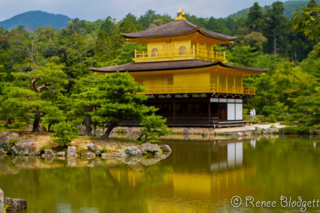 Kyoto Golden Pavilion (11) - Copy