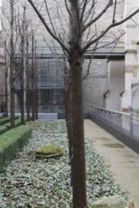 Next to College Des Bernadins (7)