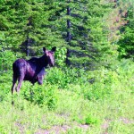 SP4_IMG_7213