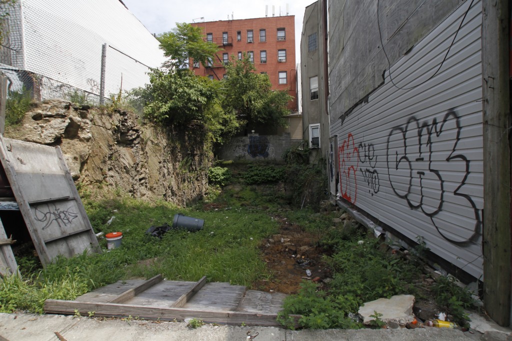 The South Bronx (2)