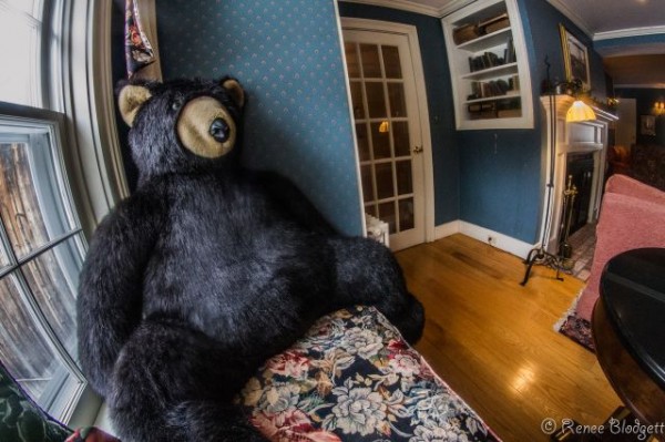 Windham-Hill-Inn Vermont (65)