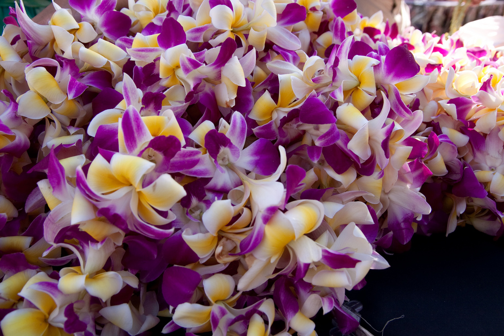 Oahu & Maui: Hawaii Food and Wine Festival in September