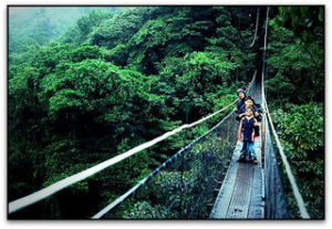 hiking reserva biologica bosque Photo courtesy of flicker: Wha'ppen