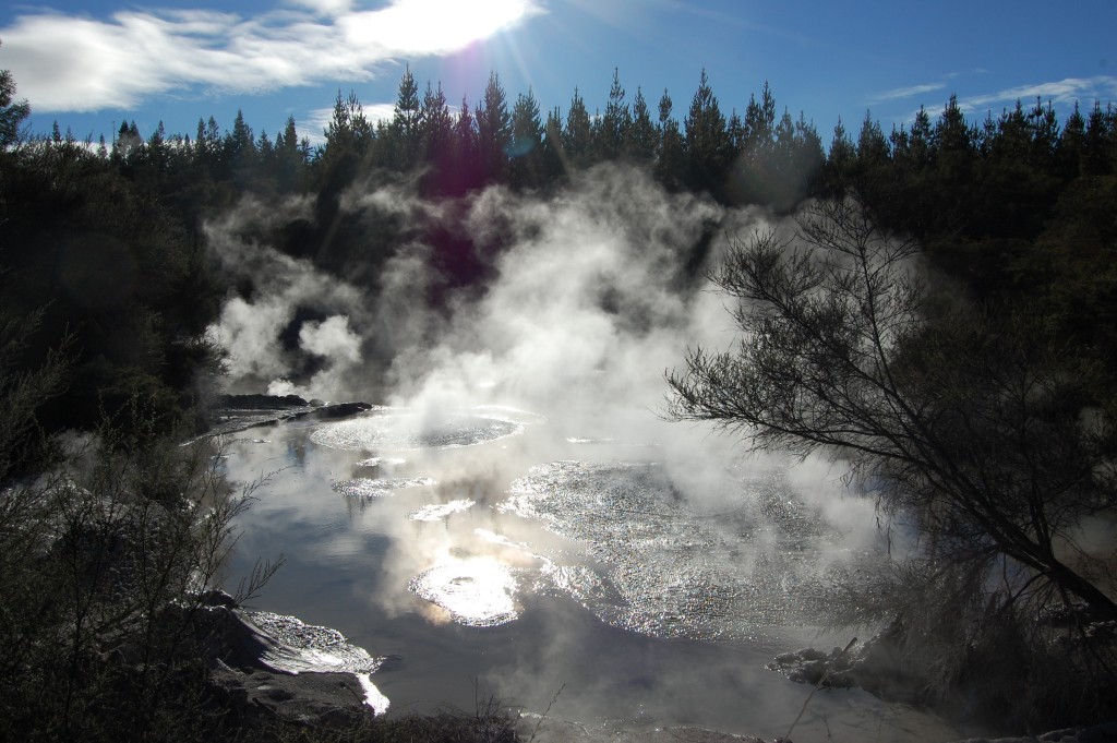 nz thermal