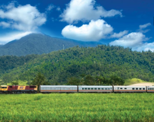 train